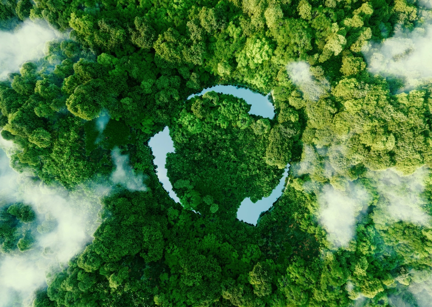 Cleaner Energy Solutions image