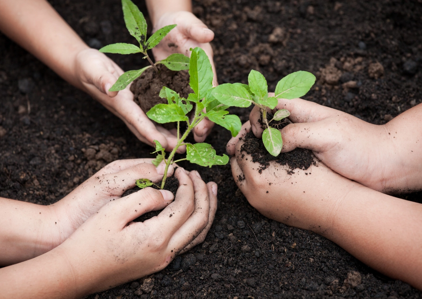 Natural Resource Conservation image