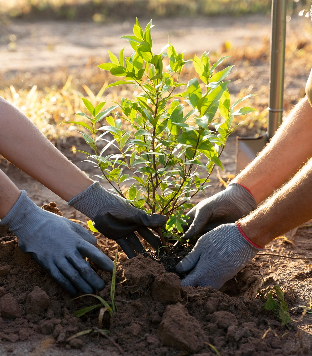 Tree Plantation & Resource Conservation image